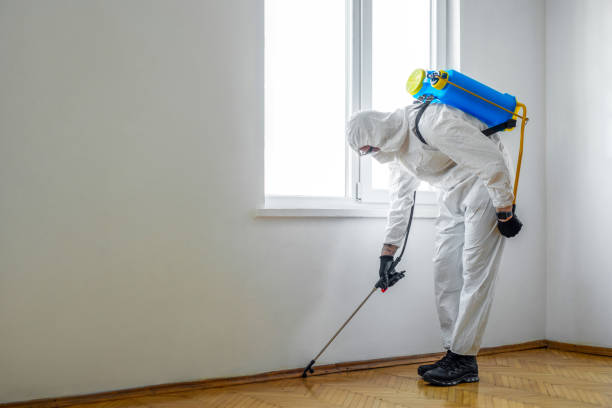 Professional Pest Control in Butler, MO