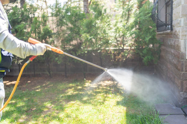 Best Wasp Removal Services  in Butler, MO