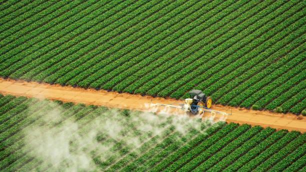 Pest Prevention Services in Butler, MO