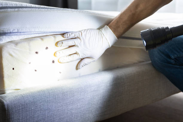 Best Pest Inspection Near Me  in Butler, MO