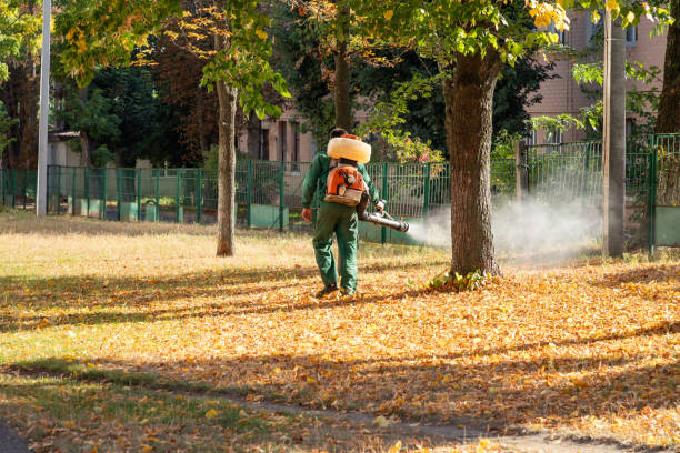 Best Best Pest Control Companies  in Butler, MO