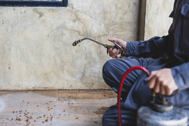 Wasp Removal Services in Butler, MO